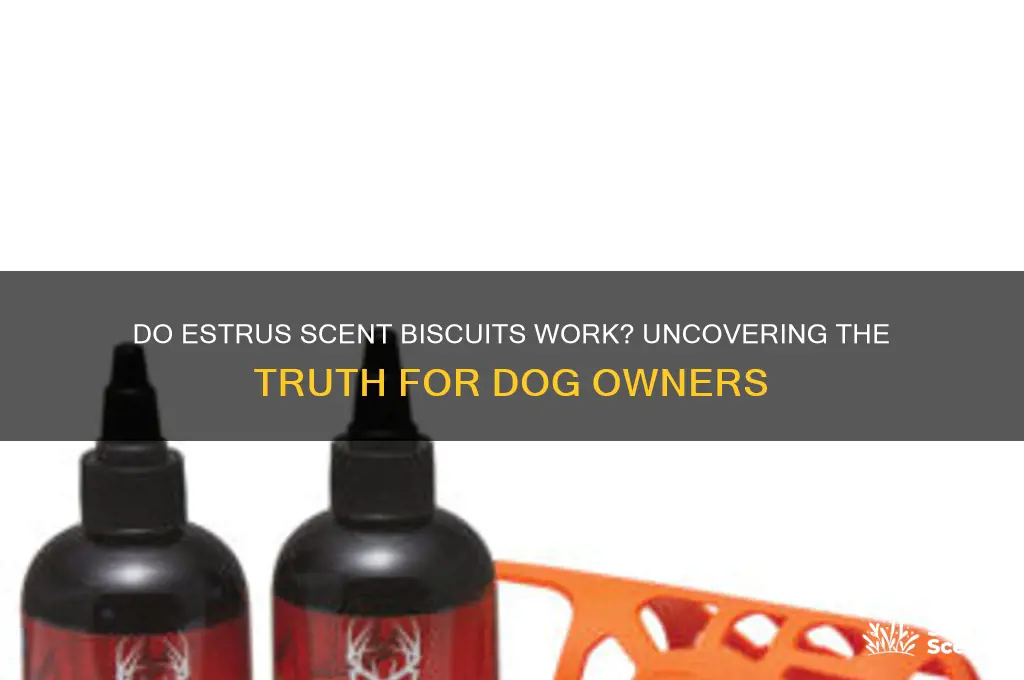 do estrus scent biscuits work
