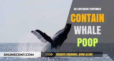 The Truth About Whale Poop in Expensive Perfumes