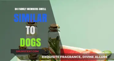 Do Family Members Smell Similar to Dogs? Exploring the Science Behind It