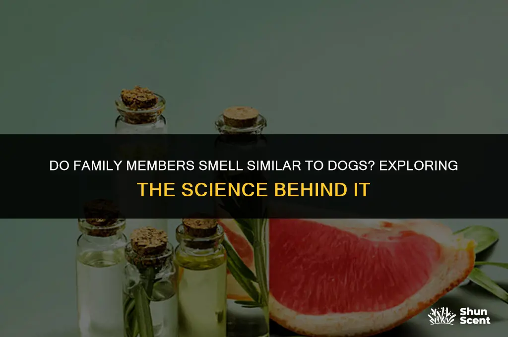 do family members smell similar to dogs