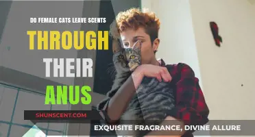 Female Cats' Anal Scent Marking: Uncovering Feline Communication Secrets