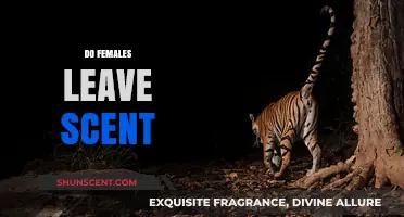Do Females Leave Scent Markers? Exploring the Science Behind It