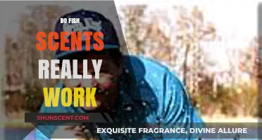 Do Fish Scents Really Work? Uncovering the Truth for Anglers