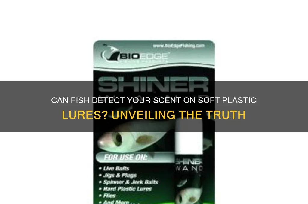 do fish smell your scent on soft plastics