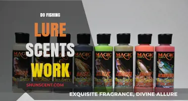Do Fishing Lure Scents Really Work? Uncovering the Truth for Anglers