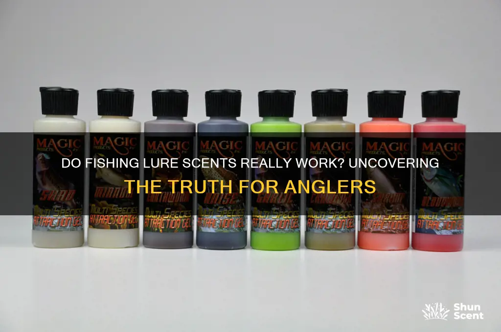 do fishing lure scents work
