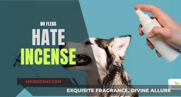 Incense: A Natural Flea Repellent?