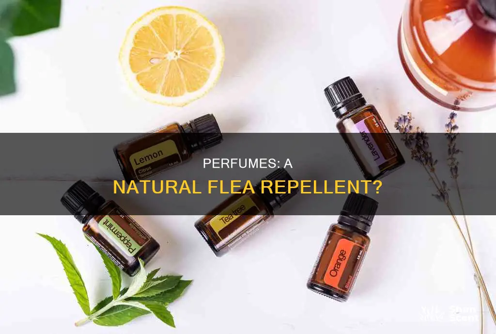 do fleas hate perfume