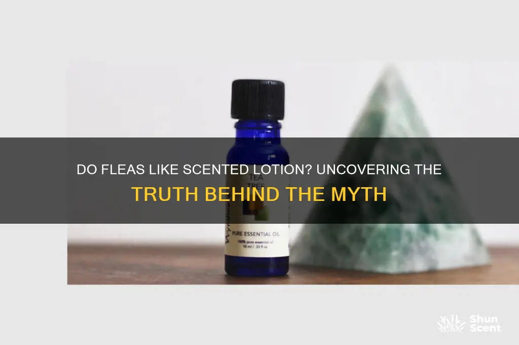 do fleas like scented lotion