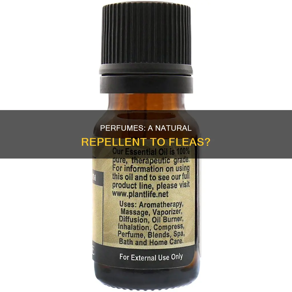 do fleas like the smell of perfume