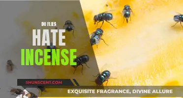 Incense: A Natural Fly Repellent?