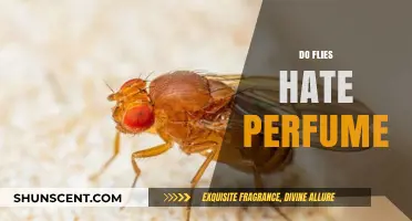 Perfumes: Flies' Worst Scents