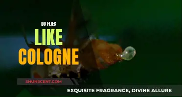 The Allure of Cologne: Do Flies Find it Enticing?