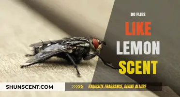 Lemon Scent and Flies: Unraveling the Attraction Myth or Reality
