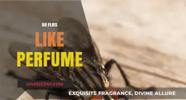 The Secret of Flies and Perfume