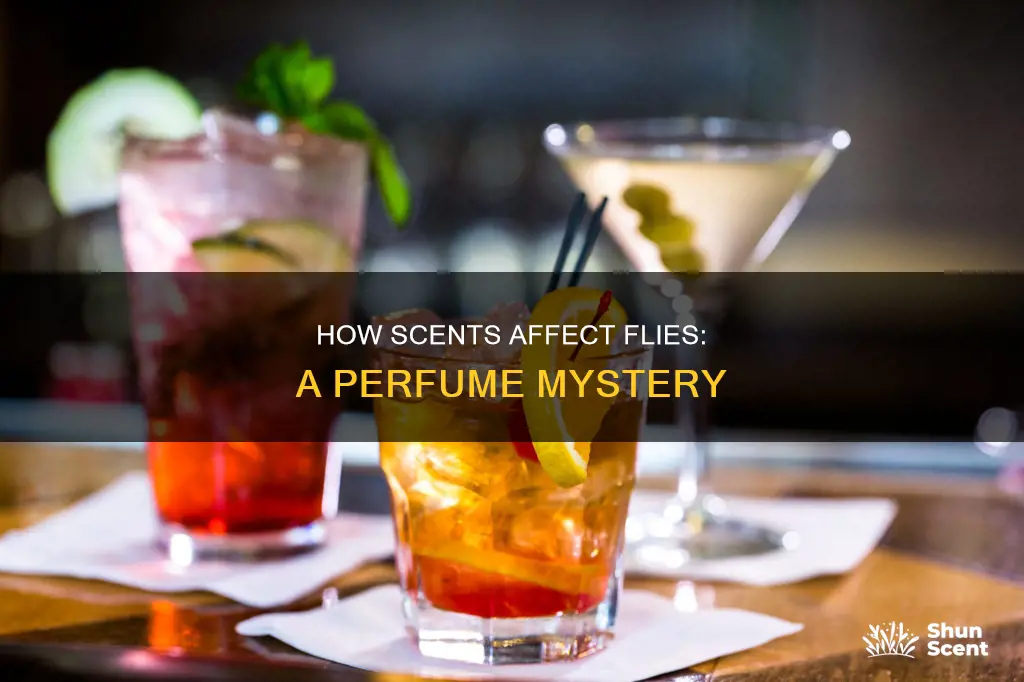 do flies like the smell of perfume