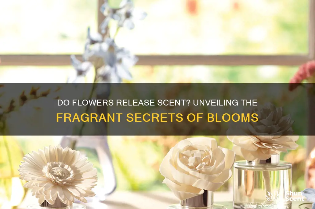 do flowers release scent