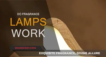 The Science Behind Fragrance Lamps: Do They Work?