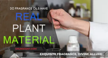 The Truth About Fragrance Oils: Real Plant Extracts?