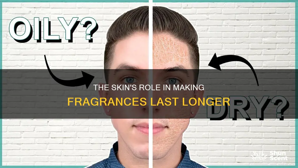 do fragrances last longer on oily or dry skin