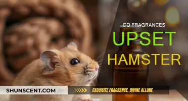 Hamsters and Fragrances: What's the Harm?