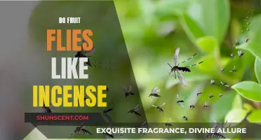Fruit Flies and Incense: A Fragrant Attraction?