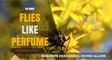 Fruit Flies: Do Scents Attract or Repel?