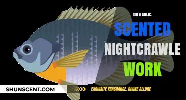 Garlic Scented Nightcrawlers: Effective Fishing Bait or Just a Myth?