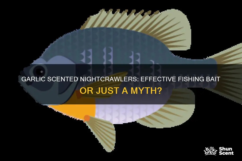 do garlic scented nightcrawlers work