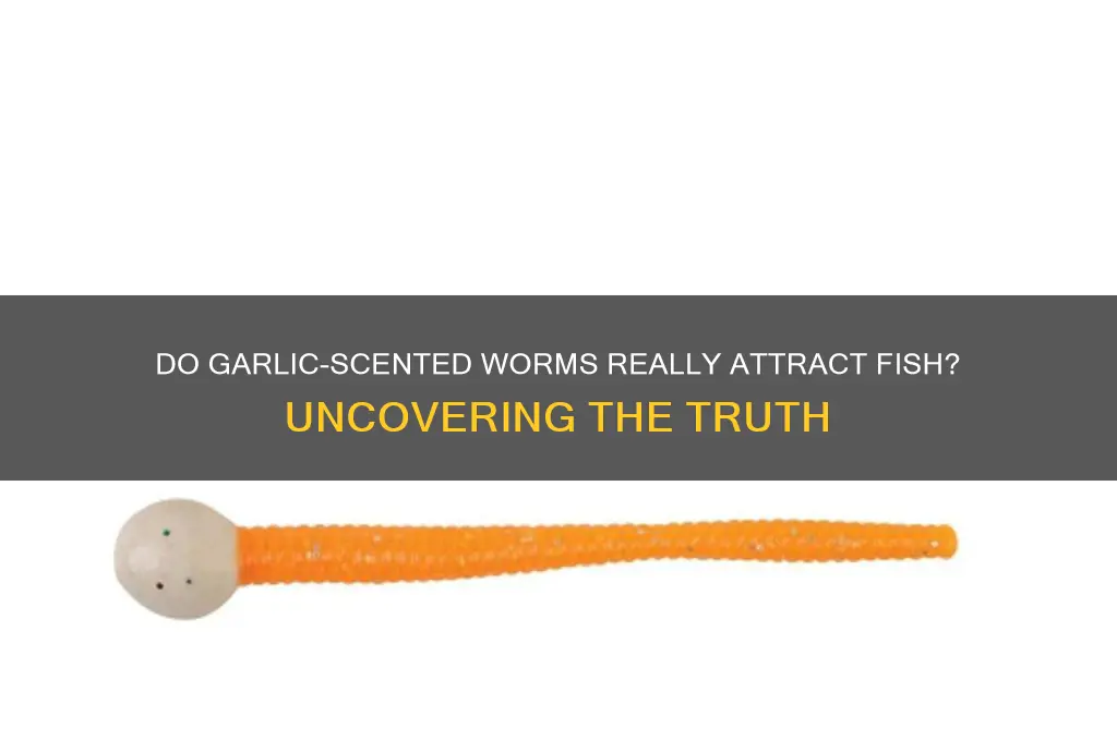 do garlic scented worms work