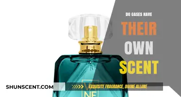 Unveiling the Truth: Do Gases Carry Their Own Distinct Scents?