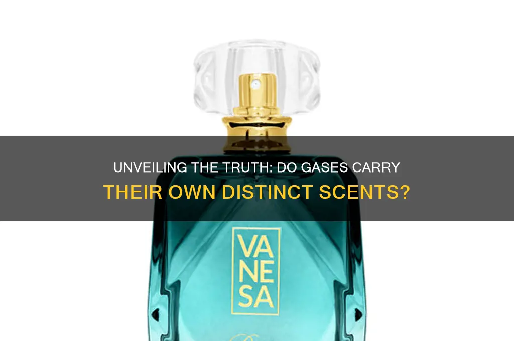 do gases have their own scent