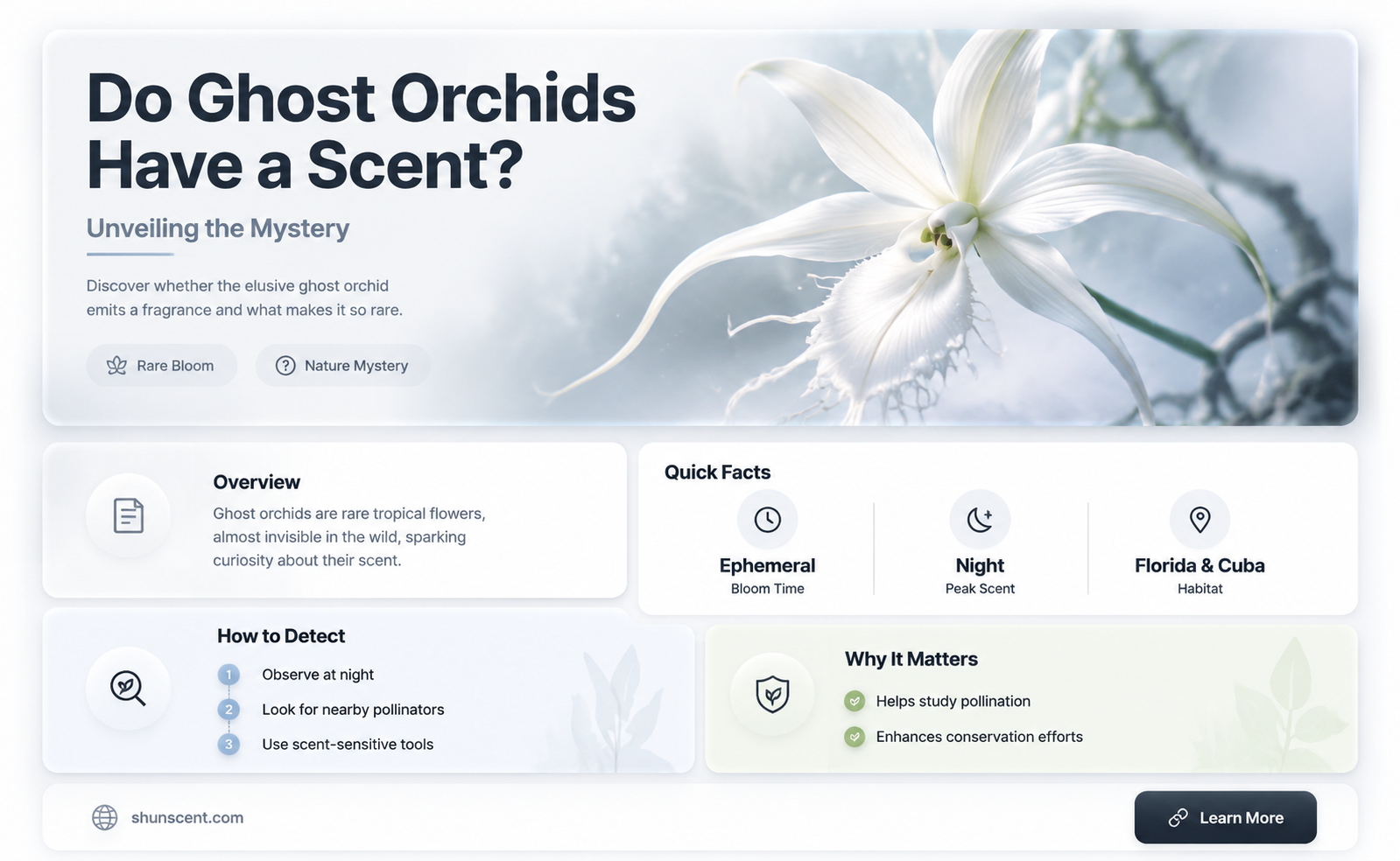 are ghost orchid scented