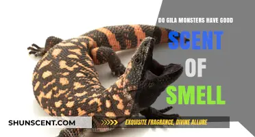 Gila Monsters' Remarkable Olfactory Abilities: Unraveling Their Scent Detection Skills