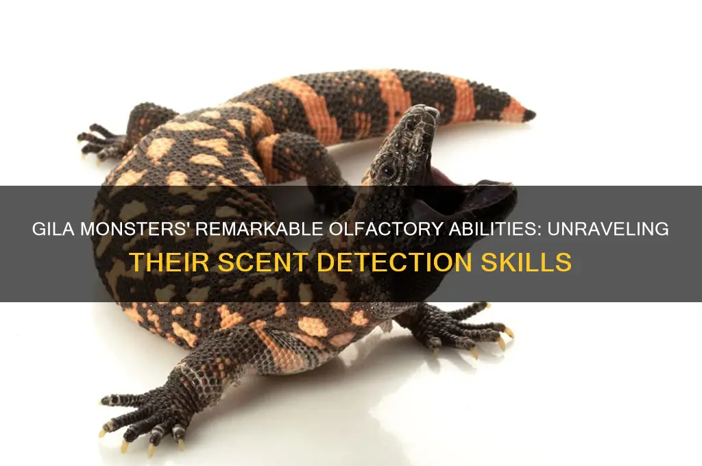 do gila monsters have good scent of smell