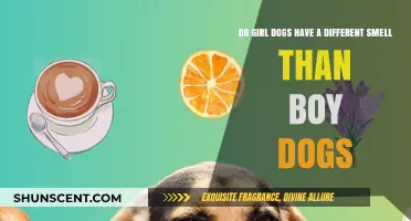 Unveiling the Truth: Do Female Dogs Have a Unique Scent?