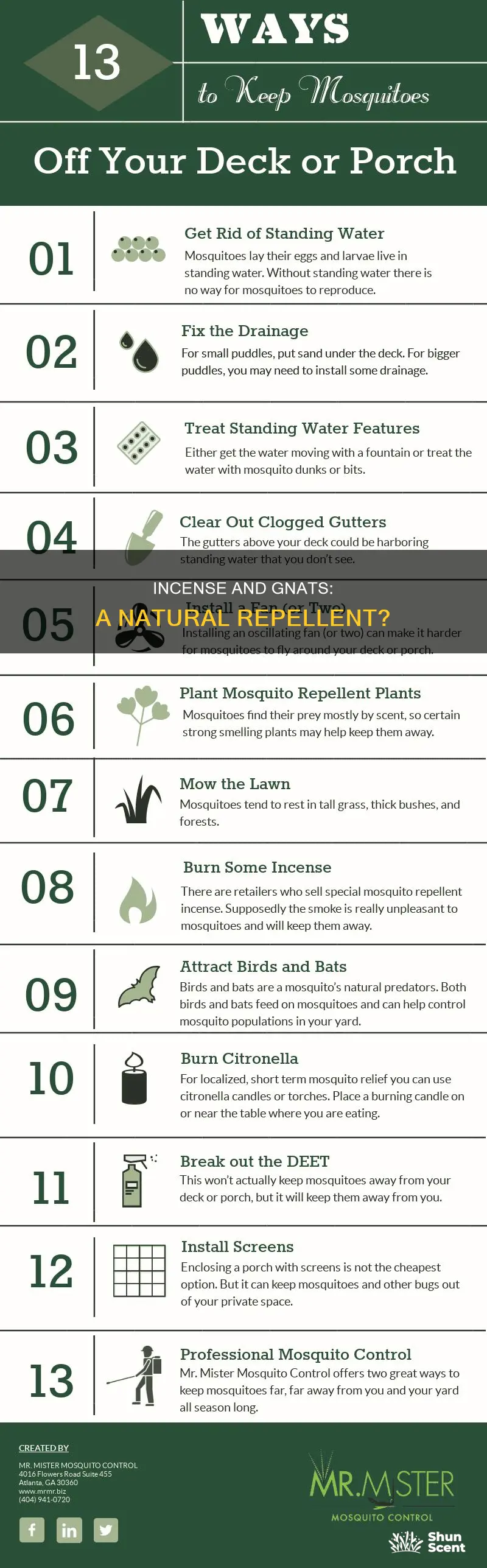 do gnats hate incense