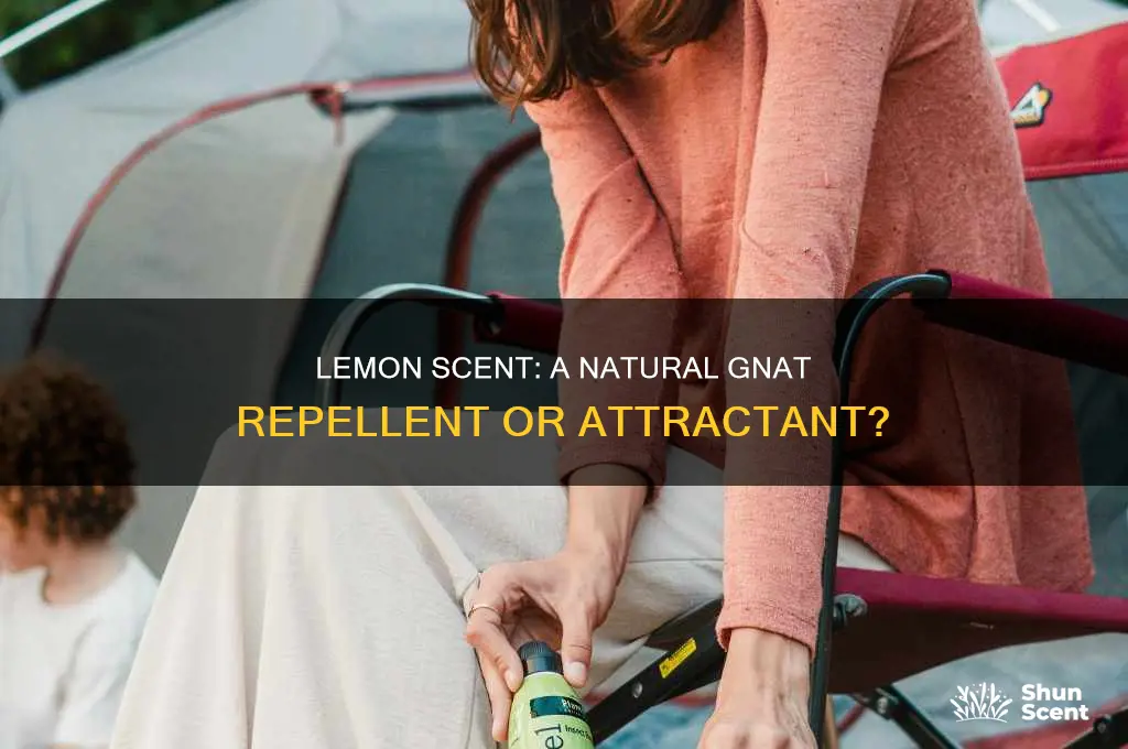 do gnats like lemon scent