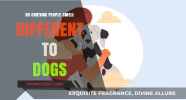 Do Grieving People Emit Different Scents to Dogs?