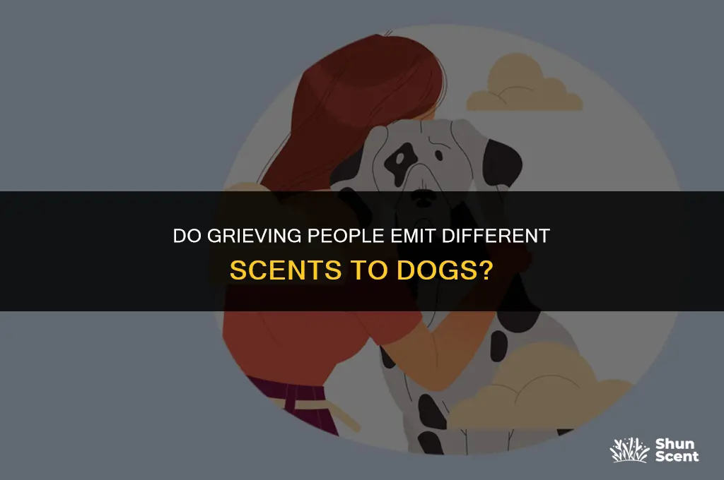 do grieving people smell different to dogs
