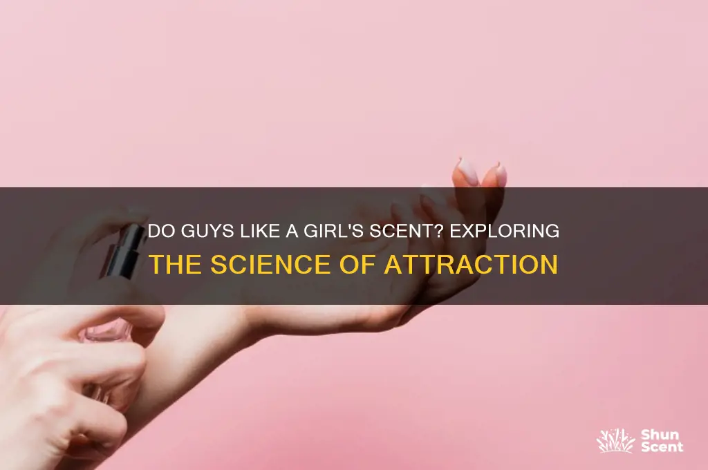 do guys like a girl