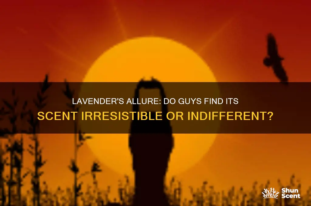do guys like the scent of lavender