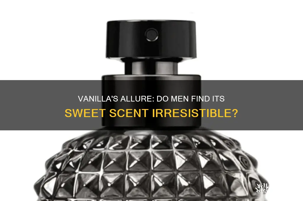 do guys like the scent of vanilla