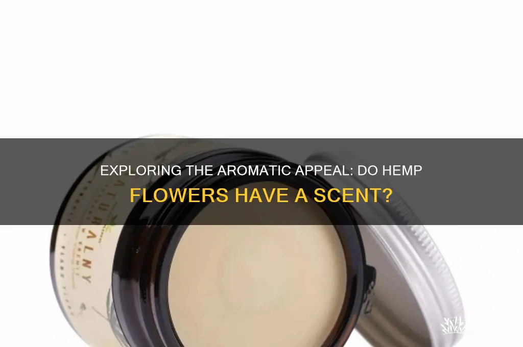 do hemp flowers have a scent
