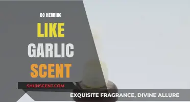 Do Herring Prefer Garlic Scent? Unraveling Fish Olfactory Preferences