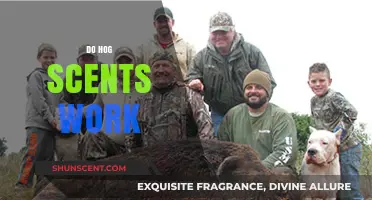 Do Hog Scents Really Work? Uncovering the Truth for Hunters