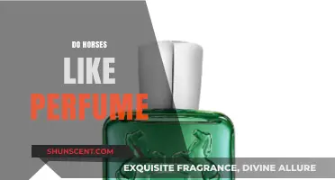 Do Scents Make Sense? Horse Perfume Preferences