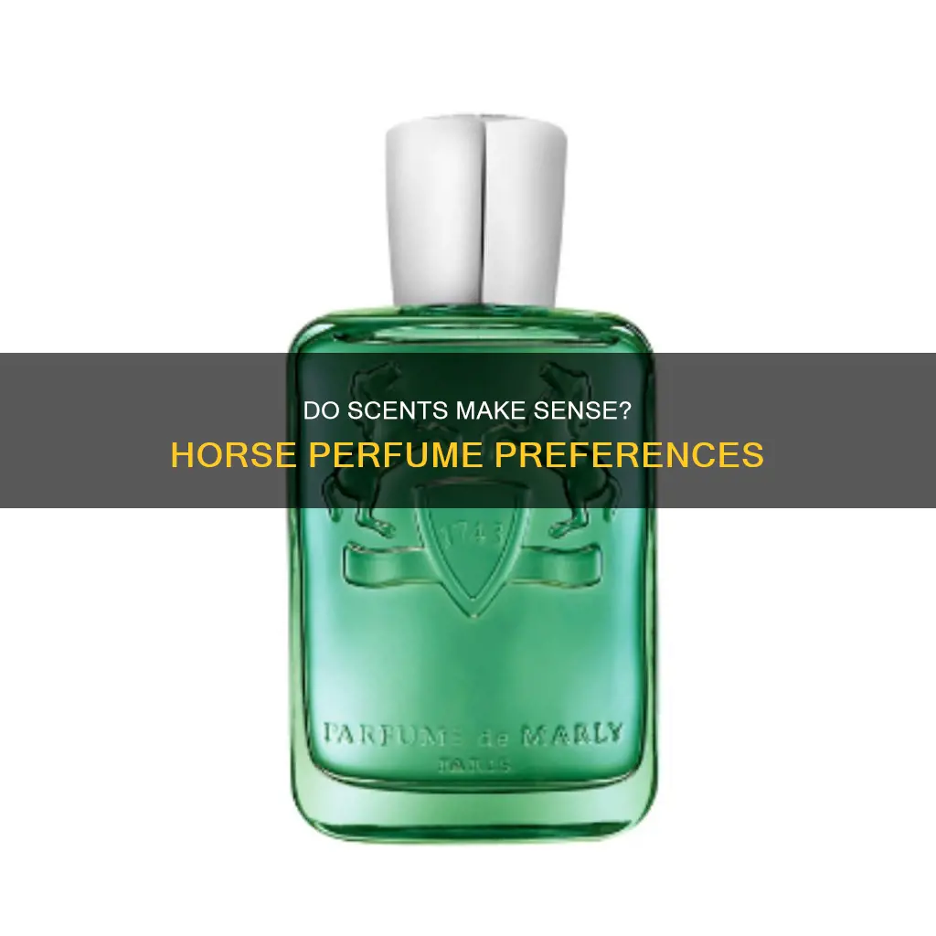 do horses like perfume