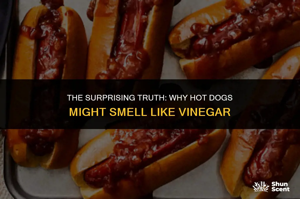 do hot dogs smell like vinegar