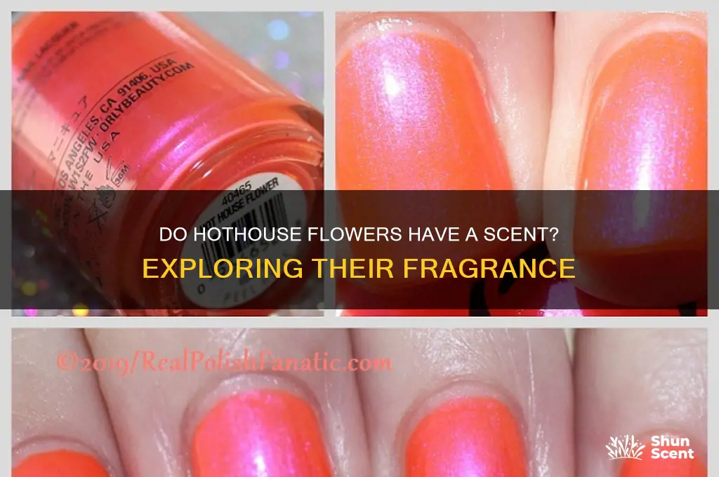 do hot house flowershave a scent